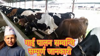 गाई पालन कसरी सुरु गर्ने?||Modern intrigated agro farm