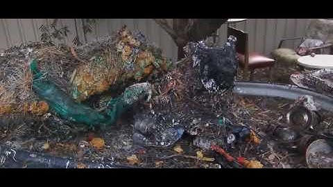 Sovereign Forms Crocuta crocuta.