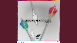 Broken Arrows (M-22 Remix)
