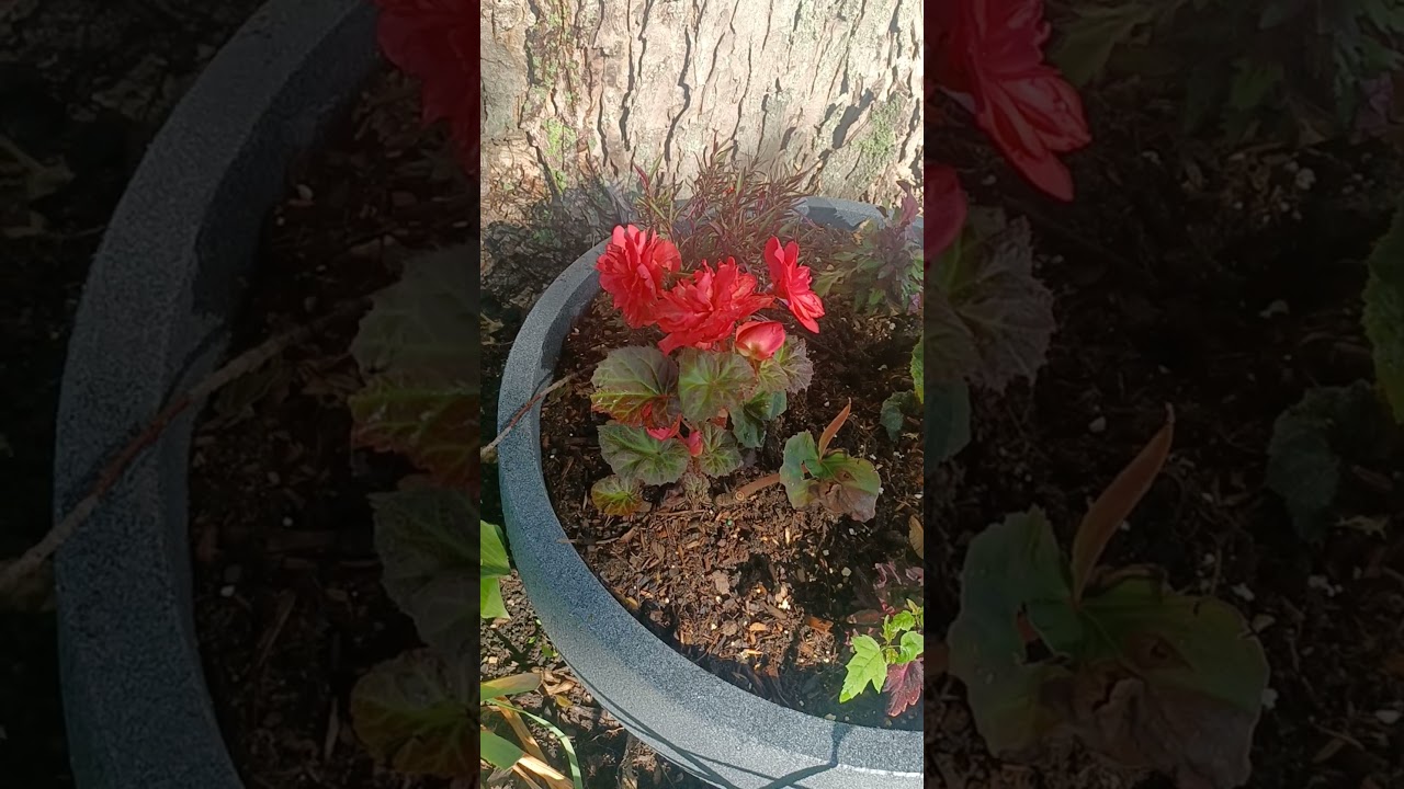 Amazing Milwaukee ❤️