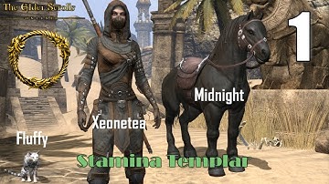 Elder Scrolls Online [01] Xeonetea Series - Templar Stamina Imperial - OPENING - Part 1
