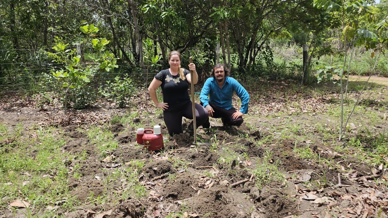 DEPOIS DESSA DECEPÇÃO,  TIVEMOS QUE REPLANTAR TUDO DE NOVO!