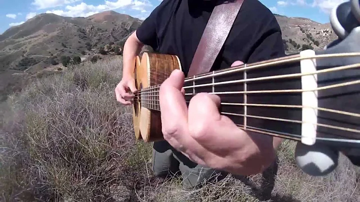 Thomas Leeb - Comfortably Numb (Pink Floyd) acoust...