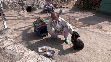 映画『あなた、その川を渡らないで』“おじいさんと犬の癒し系ほのぼの”特別映像