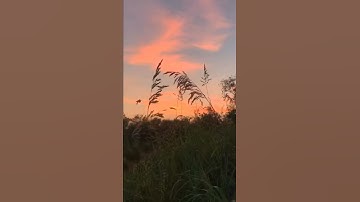 تلاوه لا توصف تقشعر لها الأبدان بصوت بندر بليله 😭💙