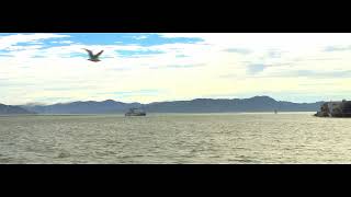 20260720 Canon50D ML 1920x720 1x1 Zeiss B4 10mm T1 5 T8 PointRichmond