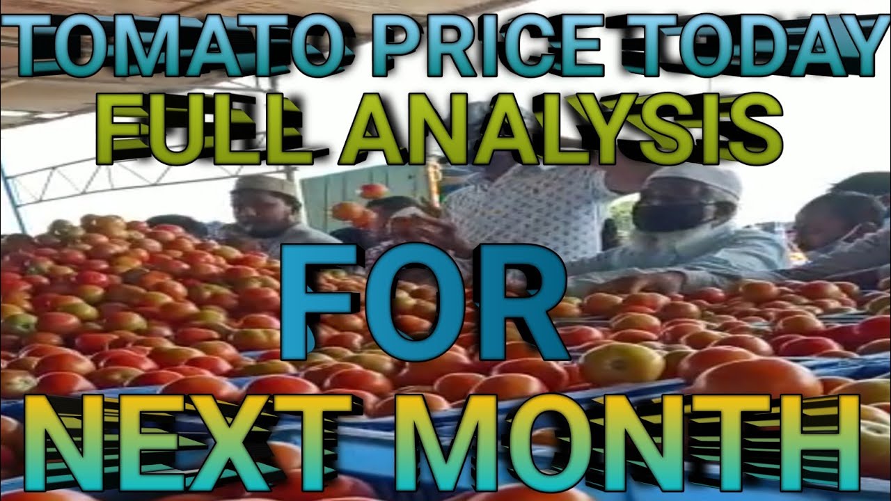 వచ్చే నెలలో టమోటా రేట్లు ఎలా ఉంటాయి, Tomato Price Today, Next Month