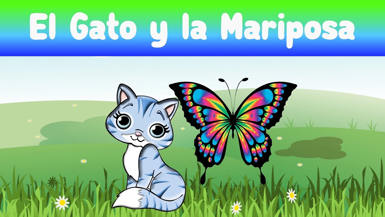 Cuento Precioso para Dormir a los Niños El Gato y la Mariposa YouTube