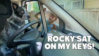 My Dog Locked Me Out Of My House | Vanlife Quarantine Pt.3