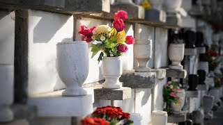 Why Shouldn't We Take Cremated Remains Home or Scatter the Ashes?