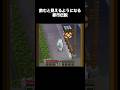 おにっぴの幻覚……? #マイクラ #マインクラフト