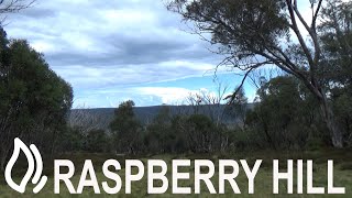 Raspberry Hill Camping Area - Alpine National Park, Victoria by Live2Camp 313 views 1 year ago 1 minute, 34 seconds