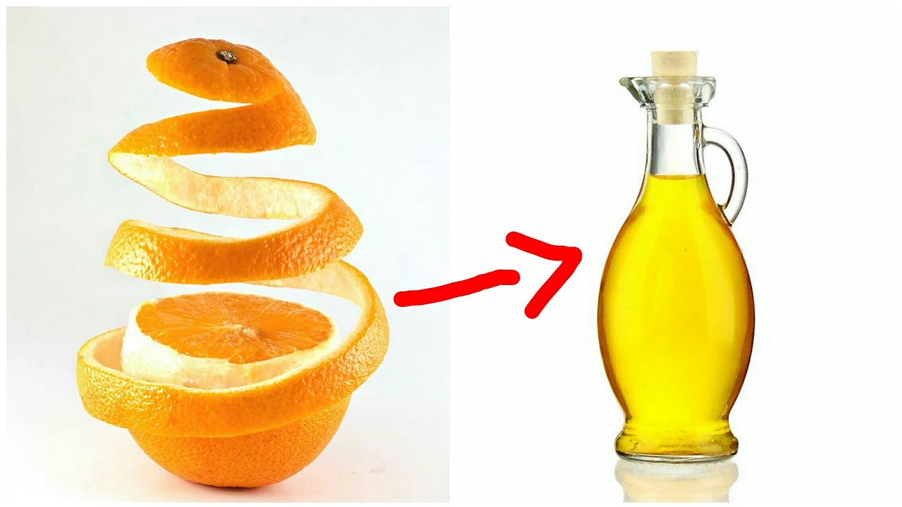 HOW TO EXTRACT OIL FROM ORANGE YouTube