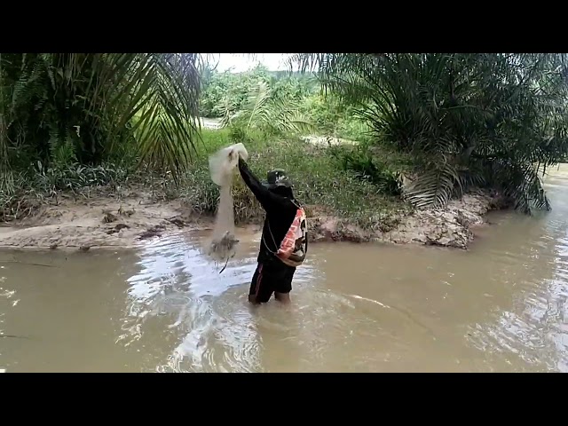 Ekstrim.. !! nekat berburu ikan di sarang buaya class=