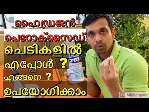 Hydrogen Peroxide for Plant/ഹൈഡ്രജൻ പെറോക്സൈഡ് ചെടികളിൽ എപ്പോൾ എങ്ങനെ ഉപയോഗിക്കാം /MarupachaFarming