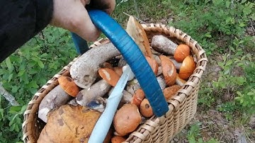 Пришлось доставать вторую корзину