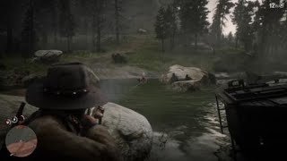 Red Dead Redemption 2 - Double kill