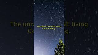 Are We Truly Separate? Discover Universal Oneness. #Shorts #martinus
