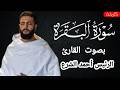 شاهد التلاوة التي تهز القلوب سورة البقرة كاملة بصوت الرئيس السوري أحمد الشرع 