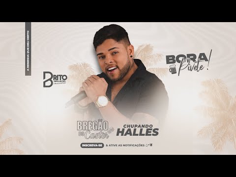 BREGÃO DO CASTER | CHUPANDO HALLES - Repertório Abril 2024 | Músicas Novas