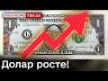 Доллар по 43?! Три фактора, которые удерживают гривну! Кто держит "экономический фронт"?