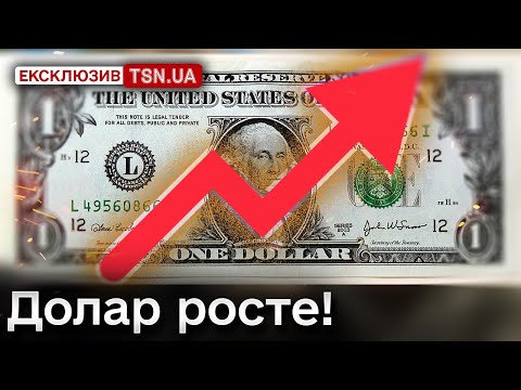 Доллар по 43?! Три фактора, которые удерживают гривну! Кто держит "экономический фронт"?