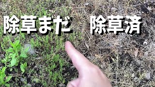 農家の天敵「石」と「草」を退治していく