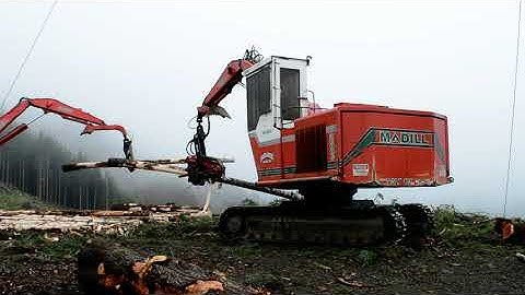 Madill 3800C Waratah 624C Processor & Log Loader - Dahlgren Logging, Forks WA