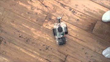 Wall Avoidance Behavior - C elegans and GoPiGo Robot