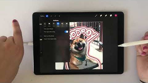 Procreate Tutorial: Timelapse Replay
