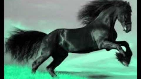 Add animation and visual effects in windows live movie maker