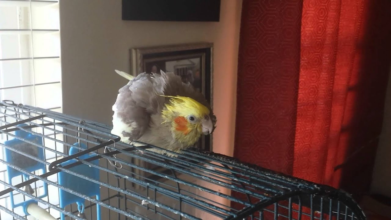 Luna taking a shower