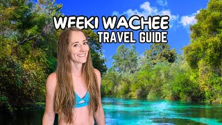 WEEKI WACHEE STATE PARK | (Complete Guide to Paddling from Roger's Park)