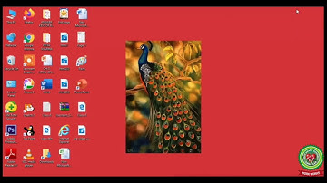 Tags in HTML|Video 4|Class 6|Computer|Holy Heart Schools