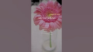 #سيد_الاستغفار #استغفر_الله_واتوب_إليه_استغفر_الله_العظيم #لا_اله_الا_الله #اذكار_المساء 💕