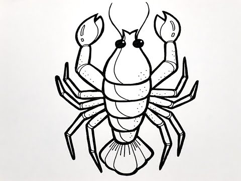 How To Draw Lobster 1