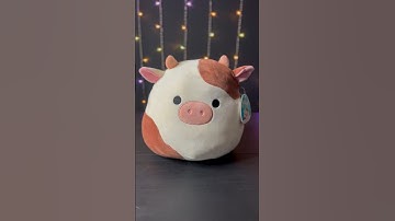 I WANT MY OWN COW SQUISHMALLOW PLANET 🌍🪐 #squishmallows #shorts