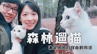 去森林里遛猫Walk my cat in the woods