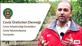 Ceviz Yetiştiriciliği Destekleri ve Ceviz Yatırımcılarına Tavsiyeler