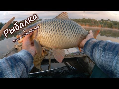 Видео ловля карпа в беларуси Видео ловля карпа в беларуси