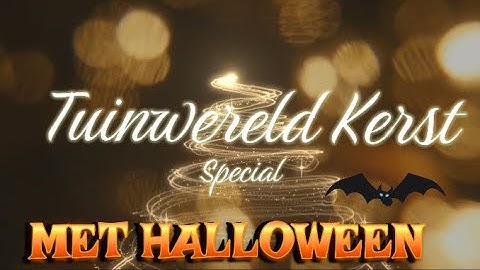 🎄Kerstvlog 🎅 Tuinwereld Wijchen 2025🎄