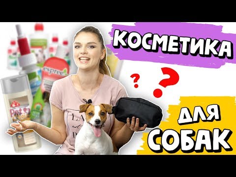 Видео: Какой тип шампуня лучше всего подходит для вашей собаки?