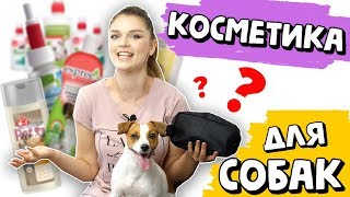 СОБИРАЕМ КОСМЕТИЧКУ ДЛЯ СОБАКИ | КАКАЯ КОСМЕТИКА НУЖНА ВАШЕЙ СОБАКЕ?