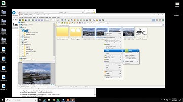 FastStone - How to Date and Timestamp Photos in Batch