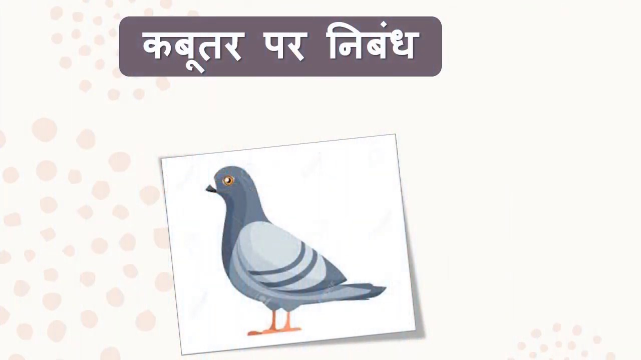 Essay On Pigeon In Hindi For Kids. - YouTube