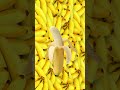 Bananalicious  shorts fruit banana asmr