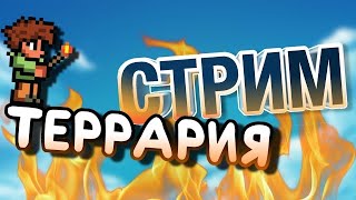 Стрим По Террарии