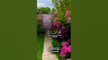 سورة الإخلاص تعادل تلت القرآن #اكسبلور #قرآن #لايك #تيك_توك #حالات_واتس #المصحف #ترند #راحة_نفسية