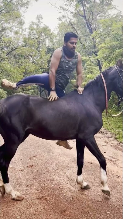Mount || Horse || Without || Saddle || Rider || Shorts || IA || WhatsApp || Status