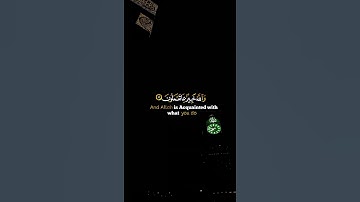 آلقران الكريم - سورة المنافقون - آلاية [ 11 ] القارئ شريف مصطفى